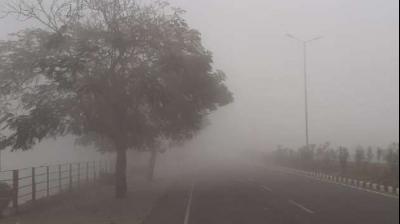 North India Welcomes New Year Amid Chilling Cold Wave