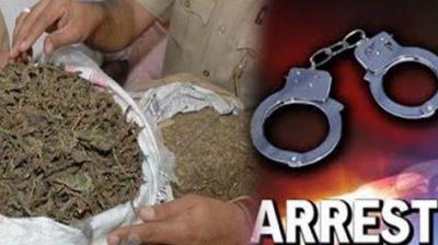 Narcotic smuggler today arrested with 20 kg of poppy