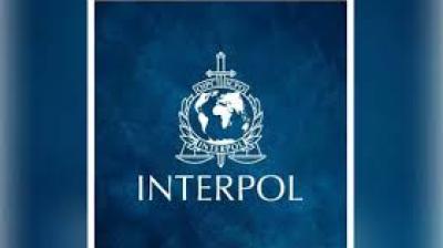 In its 2026 Global Financial Fraud Threat Assessment, the agency said total losses from economic fraud crossed USD 442 billion in 2025, underlining the growing scale of the problem. File Photo.