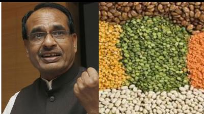 Centre to buy all masur, urad, tur dal produced by farmers