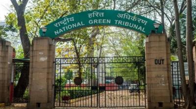 NGT NGT