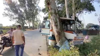 Punjab Accident: Bus Accident Leaves 5 Injured; Driver Allegedly Under the Influence of Intoxicant 