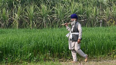 A significant portion of the potato crop had already been harvested after weather warnings were issued. File Photo.