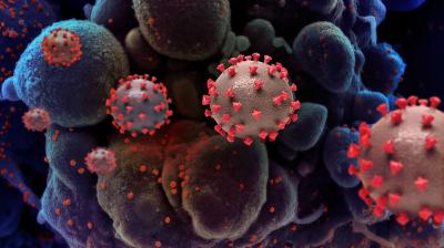 Punjab Reports First Case of New COVID Variant, Government Steps Up Vigil