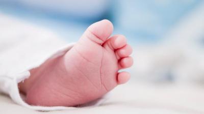 Premature Births Premature Births