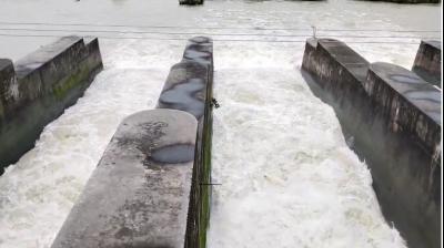 Pong Dam Water Level Rises by 6 Feet; 13 Feet Below Danger Mark, 4 Floodgates Opened by 2 Feet