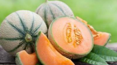 Melon Melon