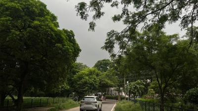 Punjab Weather Updates: IMD Chandigarh Issues Yellow Alerts for Several Districts