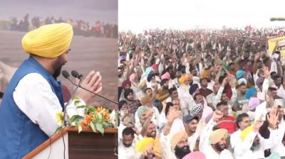 Bullock cart races: "We have a deep connection with bullocks," says Chief Minister Bhagwant Mann