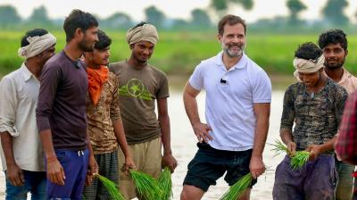 INDIA bloc likely to bring private bill on legal guarantee of MSP: Sources 