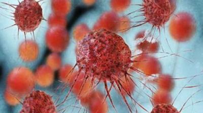 Nipah virus claims lives in Kerala