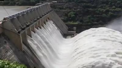 Punjab: Historically Unprecedented Inflow In Beas/Pong Dam In 2025, 20% More Than 2023 Floods