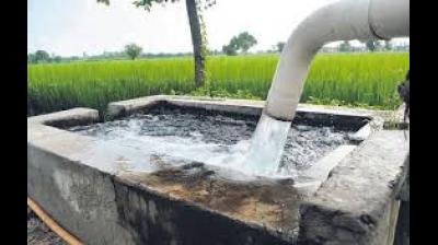 Regions dependent on agriculture and groundwater should read this as a wake-up call: more than ever, cropping patterns, water management and irrigation practices matter today. File Photo.