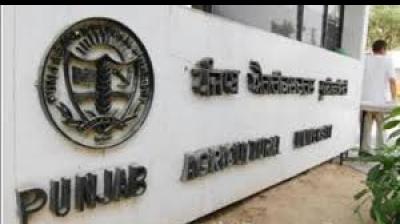 PAU has dedicated 11 years to developing the OL series of oats, continuously improving the crop's yield and nutritional content. File Photo.