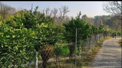It will provide live demonstrations of advanced cultivation techniques for fruits, vegetables and flowers. File Photo.