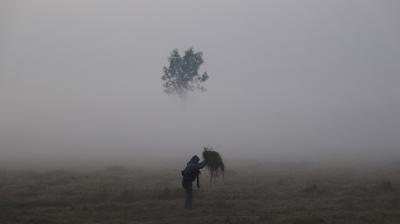 Cold Grips Kashmir: Srinagar city records the second coldest night of this winter season 