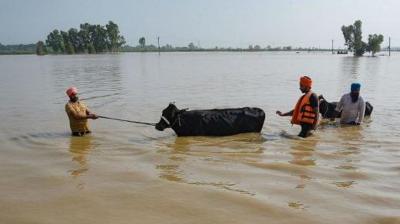 Flying Rivers: Heavy Rainfall Leads To Devastating Floods in India