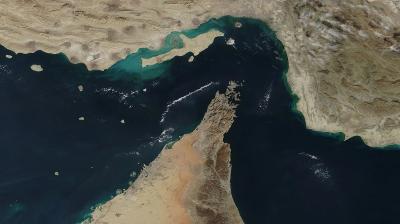 Around two dozen countries condemn Iran's attack on Strait of Hormuz in joint statement