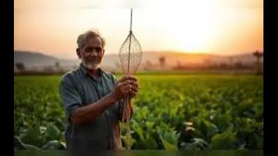 He also called on the hospitality industry to promote Geographical Indication (GI) tagged food products. File Photo.