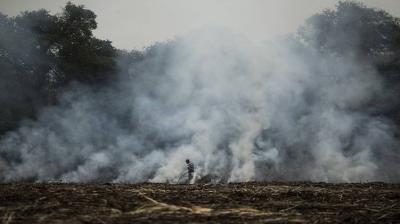 Majority of Farmers of Punjab, have responded positively