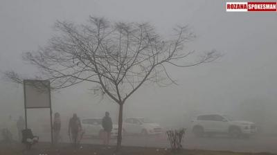 Punjab Weather Update Today: Drizzle and Fog Blanket Punjab and Chandigarh
