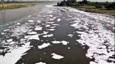 BOD measures the amount of dissolved oxygen required by microorganisms to break down organic matter in water and is widely used as an indicator of organic pollution. File Photo.