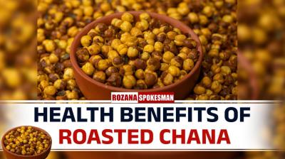 Health Benefits of Roasted Chana