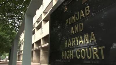 Punjab & Haryana High Court Punjab & Haryana High Court