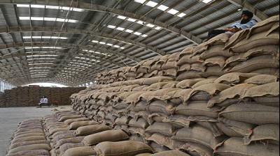 Total Rabi crop production is estimated at 17.451 crore tonnes, reflecting a 3.16 percent increase over last year's 16.916 crore tonnes. File Photo.