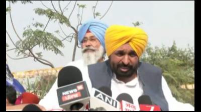 Punjabis always at the forefront in sports, says CM Mann; 3 members of Women's Cricket Team from Punjab