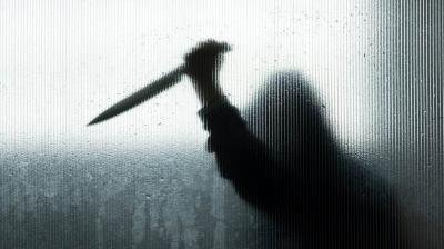 Woman Arrested for Allegedly Murdering Husband in Delhi; Affair Emerges as Motives