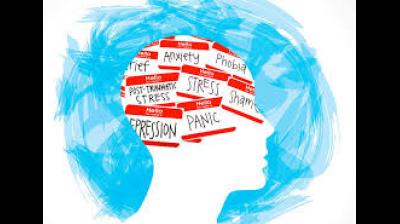 “If a full-time counsellor is needed, the system must move in that direction,” he said, warning that continued dependency on part-time appointments risks treating crises as occasional incidents rather than structural failures. File Photo.