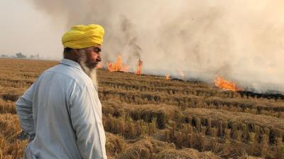 Barnala Admin Announces Several Rs 7 Lakh Lucky Draws For Farmers For Stubble Management (Representative Image, Image Courtesy: BBC)