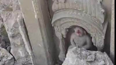 Manikarnika Ghat Row: artifacts and idols “duly preserved,” claims UP govt after backlash