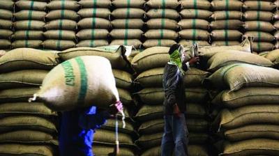 93344 MT PADDY PROCURED