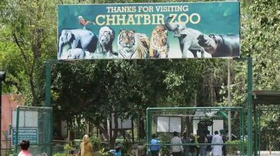 Chhatbir Zoo