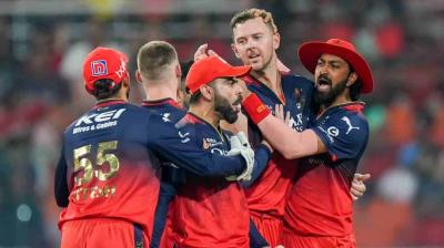 RCB Takes Home Maiden IPL Trophy, Defeats Punjab Kings in Final Clash 