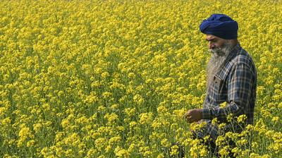 Officials argue the Bill seeks to centralise regulation, stripping states of their existing powers and reducing state-level bodies to a purely advisory role. File Photo.