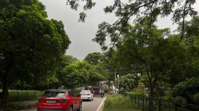 Punjab Weather Update: IMD Issues Yellow Alert for One District; Rainfall Likely Over Eastern Districts