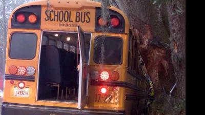 5 school children injured in bus accident in UP