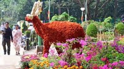 Organisers explained that more than 100 varieties of plants and flowers are on display, including special displays inspired by Japanese Ikebana. File Photo.