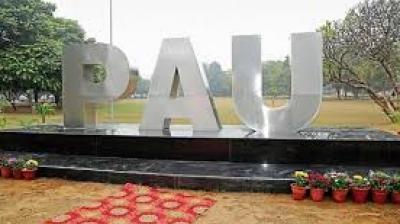 The outlet will operate from a renovated shop located near the campus bank in the PAU market area. File Photo.