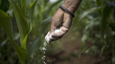India Faces Specialty Fertiliser Price Jump As China Suspends Exports Affecting Not Just India But Global Markets India Faces Specialty Fertiliser Price Jump As China Suspends Exports Affecting Not Just India But Global Markets
