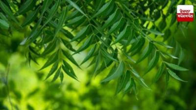  Uncovering the Agricultural Hidden Gem