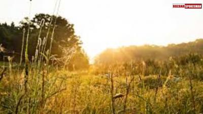 Punjab Weather Update: No Alert Over Punjab