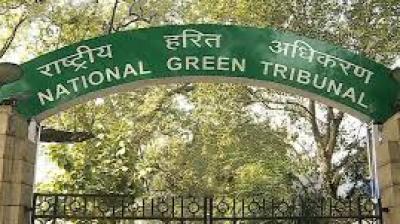 Accordingly, the NGT has asked the PPCB to submit a tabulated report within eight weeks. File Photo.