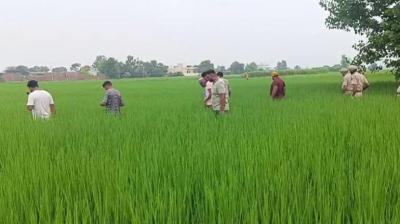 Amritsar Amritsar