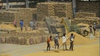 In response, Punjab's Department of Food, Civil Supplies and Consumer Affairs has ordered all District Food and Supply Controllers (DFSCs) to probe the matter and submit reports by February 13.  File Photo.