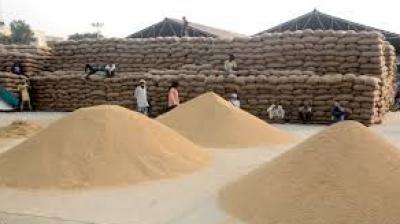 In response, Punjab's Department of Food, Civil Supplies and Consumer Affairs has ordered all District Food and Supply Controllers (DFSCs) to probe the matter and submit reports by February 13.  File Photo.