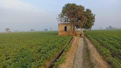 SC Commission Chairman to Visit Village Dhalehta Today: Punjab Govt. Latest News